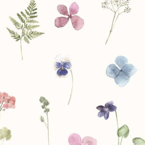 Meet your Posher, Addy